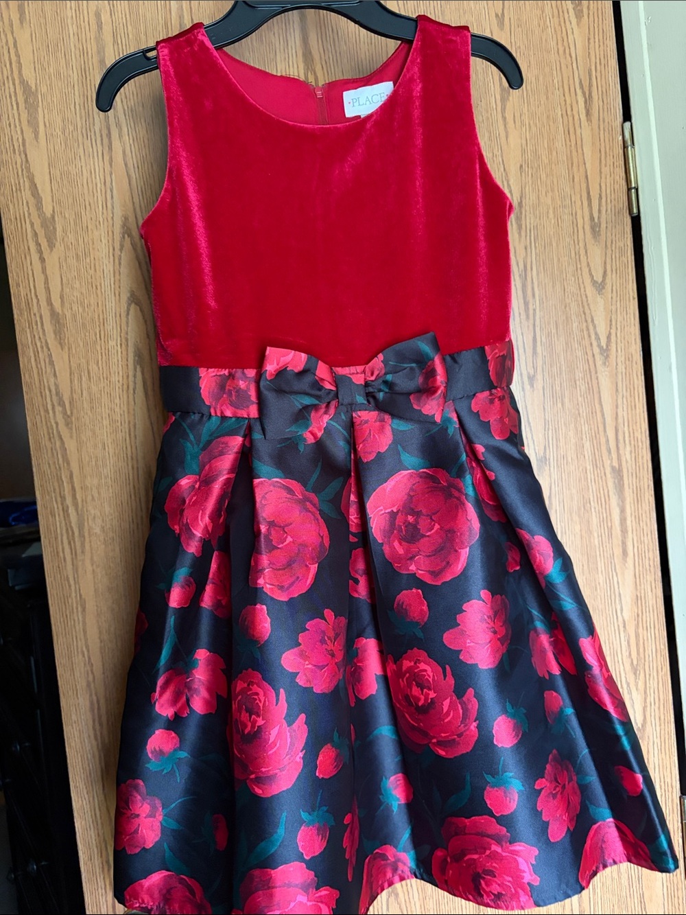 The Children's Place Red Velvet & Floral Fit-and-Flare Dress